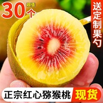 Red Hearts Kiwi Sweet juicy High Alpine Planetto Grown Kiwifruit Fresh Fruit fruit Big fruits When the season fruit