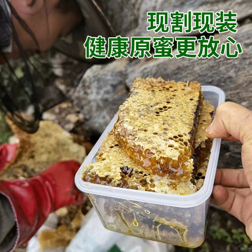 神农架野外蜂巢岩洞野外嚼着吃洞穴非养殖巢蜜天岩山洞盒装500克 - 图1