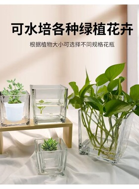 简约正方形玻璃花瓶造景植物缸