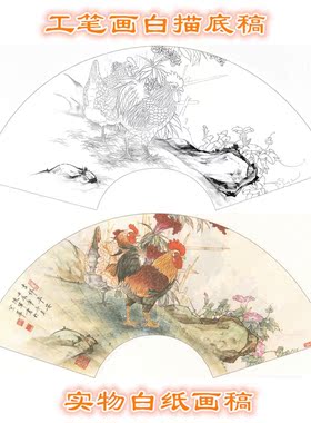 扇面扇形工笔画白描底稿线描