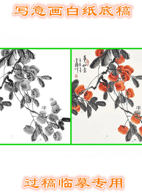 柿子瓜果写意画白描国画花鸟底稿