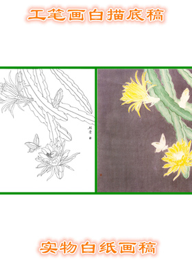 工笔画白描底稿实物线描打印画稿
