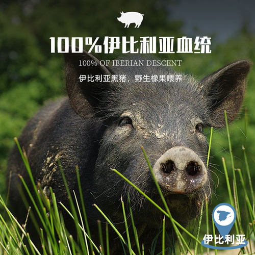 西班牙进口 SRC100%伊比利亚橡果黑标香肠火腿 切片即食萨拉米 - 图2