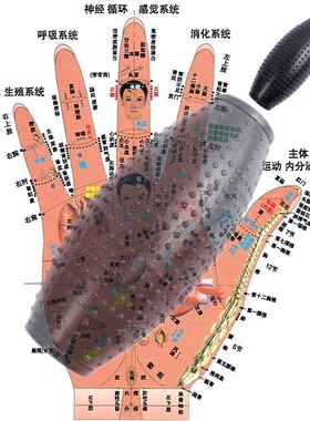 DDS按摩器手棒手握电极手雷练电