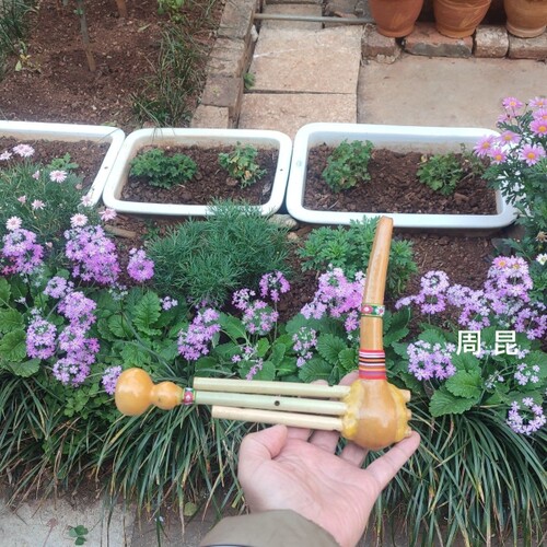 芦笙七寸 丽江迪庆 傈僳五管 葫芦笙铜舌双调 厂家直销 - 图0