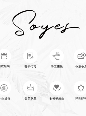 soyes/索野 铜合金锆石吊坠 星河流苏叠戴项链