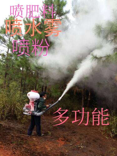 4冲汽油背负式施肥器喷雾喷粉打药机撒肥播种迷雾消毒农用喷雾器 - 图1