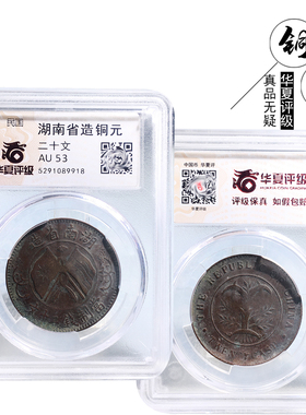 华夏评级湖南二十文铜元美品