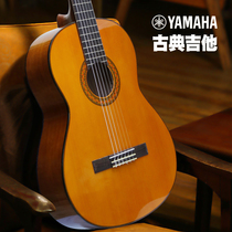 YAMAHA Yamaha Classical guitar C40 CM40 CS40 CS40s exam class beginology 36 39 inch classical gi it