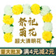 Qingming Festival tomb sweeping flowers to the grave and go to the grave fake flowers and simulated chrysanthemum sacrifice