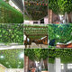Simulated grape leaves fake flowers rattan ceiling leaves green leaves
