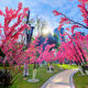 Simulated cherry blossom branches hanging ceiling decoration landscaping floor rattan