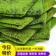 Simulated green moss lawn landscaping plant decoration shop