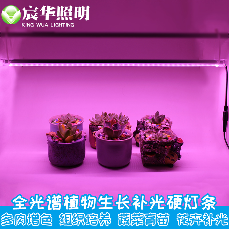 LED植物生长灯全光谱蔬菜育苗食虫草多肉上色植物补光低电压12V