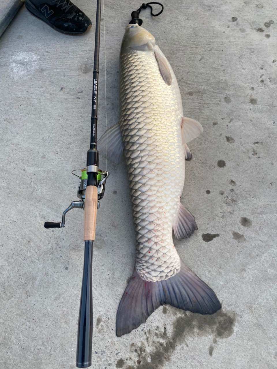 哈希玛路亚竿鱼竿ML调葫芦把鳜鱼翘嘴鲈鱼远投竿逆羽路亚竿套装,淘宝优惠券,粉丝福利购,淘宝优惠卷