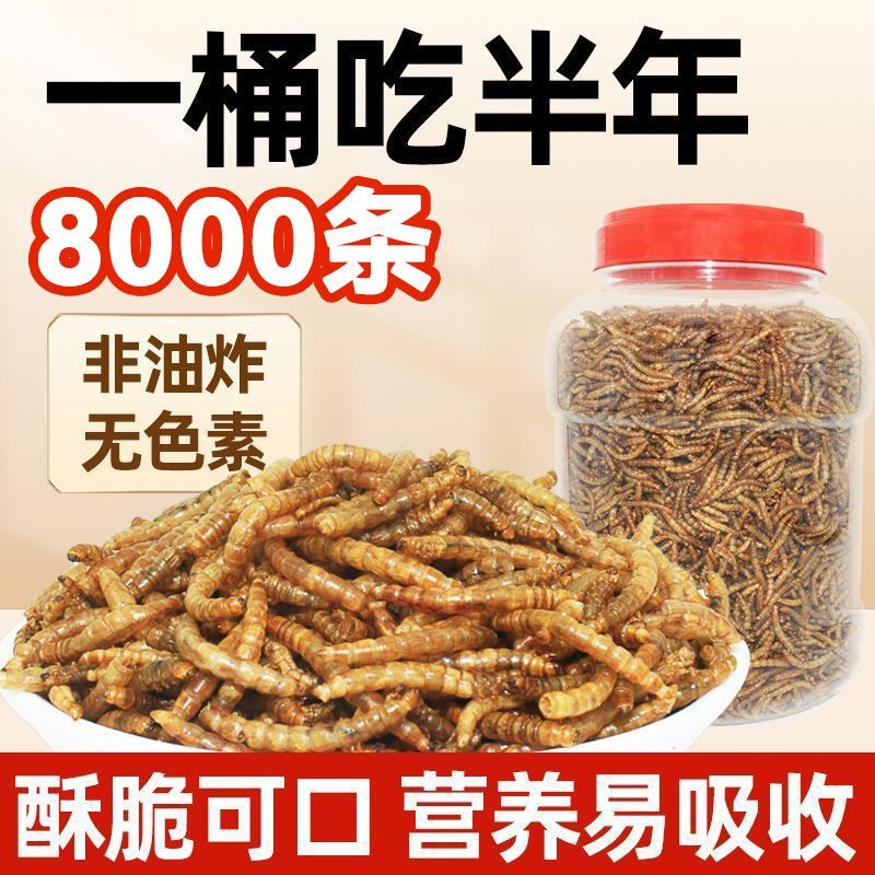 仓鼠零食面包虫干鹦鹉玄凤鸟粮乌龟锦鲤增色粮食饲料通用粮黄粉虫 - 图1