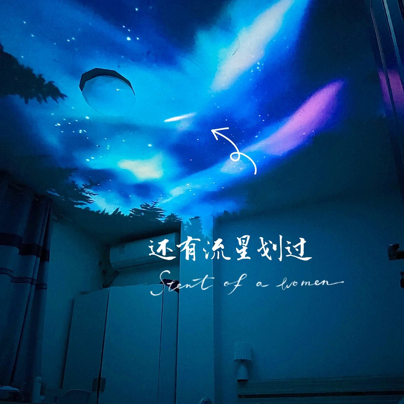 【极光世界】流星投影星空灯氛围灯卧室满天星投影小夜灯生日礼物,淘宝优惠券,粉丝福利购,淘宝优惠卷