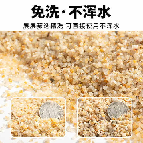 寄居蟹专用沙免洗海沙垫材保湿垫材底砂造景装饰铺面乌龟饲养箱 - 图2