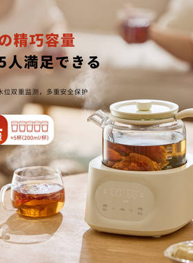 日本正负零养生壶家用多功能小型办公室煮花茶器全玻璃恒温烧水壶