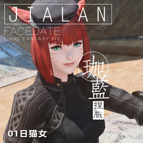 【珈蓝】最终幻想14 ff14捏脸数据脸型 各种族精品合集包 新种族 - 图0