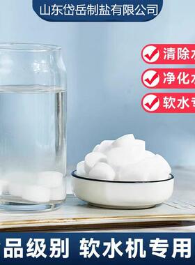 软化盐家用食品级专用净水器可用