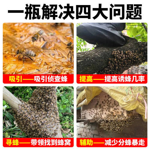 诱蜂膏神器诱蜂液野外诱蜂招蜂水蜜蜂信息素引诱蜂王新手养蜂工具 - 图1