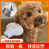 Pet Hair Dryer Bath God BLOW DRYING SPEED DRY MUTE DOGS CAT KITTY WITH BLOW-DRY LAFUR INTEGRATED COMB