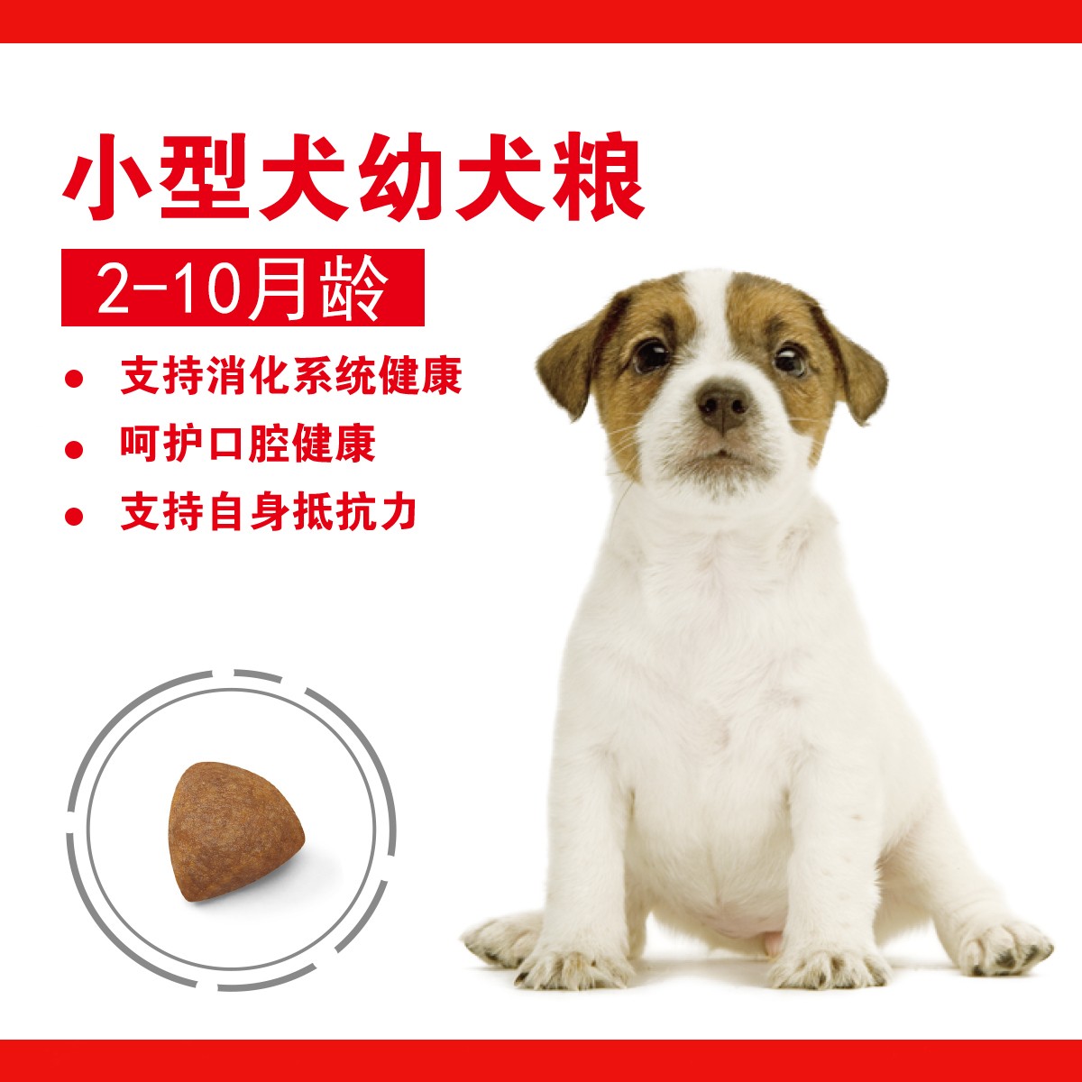 四皇冠 皇家狗粮小型犬幼犬专用粮MIJ31/2KG博美雪纳瑞泰迪幼犬粮 - 图1