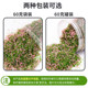 Micro Landscaping Tree Powder Turf Grass Powder