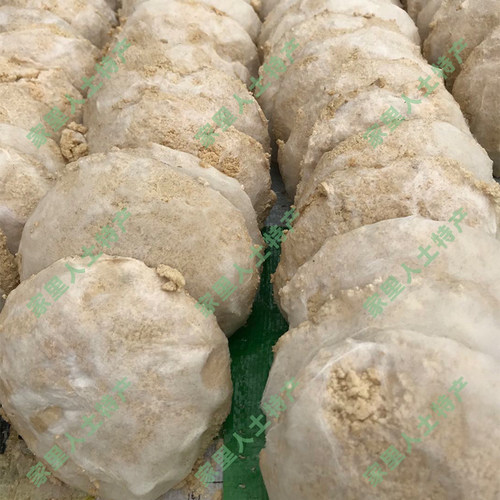 湖北随州土特产新鲜豆渣粑湿豆渣巴霉豆渣吧豆渣饼20个包邮霉渣耙 - 图1