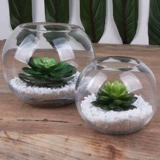 Стеклянный сферический прозрачный современный аквариум, простой и элегантный дизайн