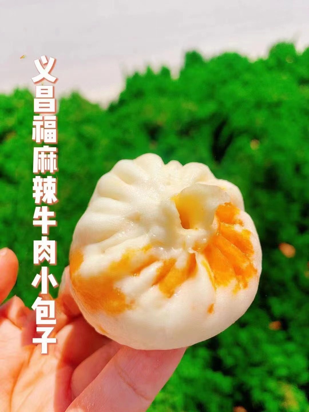 苏州代购【义昌福麻辣牛肉小包子】！️麻辣牛肉加丝小包子,淘宝优惠券,粉丝福利购,淘宝优惠卷