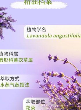 睡眠薰衣草美国精油多特瑞5年