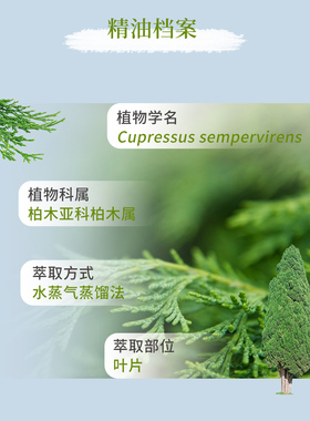 多特瑞美国促进循环5年抗菌精油