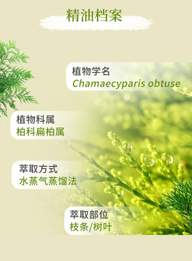 多特瑞美国滋养5年净化空气精油