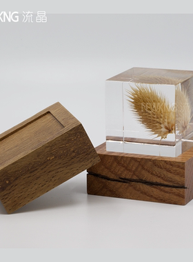 桌面支架立方体植物标本