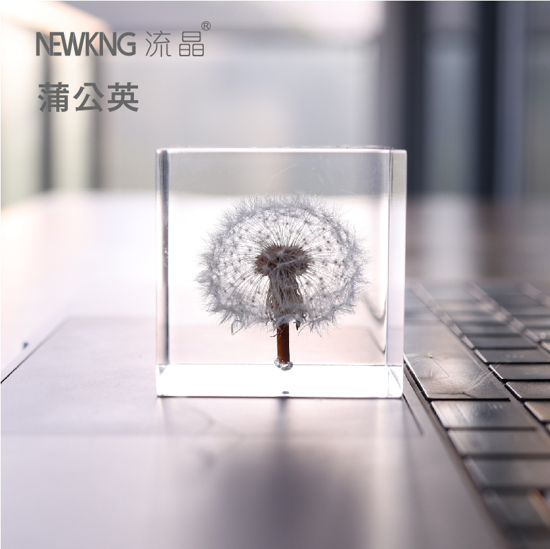 流晶 蒲公英立方体植物标本铂晶亚克力水晶摆件桌面摆件送礼定制 - 图1