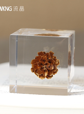 亚克力永生花个性化植物标本定制