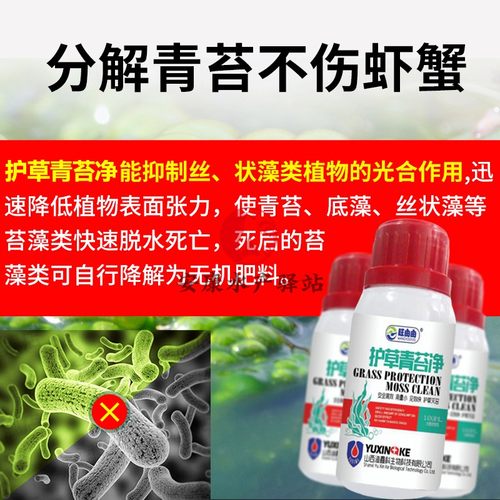 灭苔护草液青苔净水产养殖鱼虾蟹塘除青苔剂清除水棉水网藻除藻剂 - 图1
