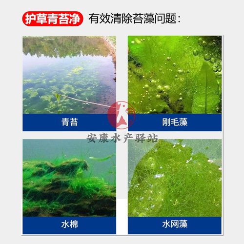 灭苔护草液青苔净水产养殖鱼虾蟹塘除青苔剂清除水棉水网藻除藻剂 - 图0