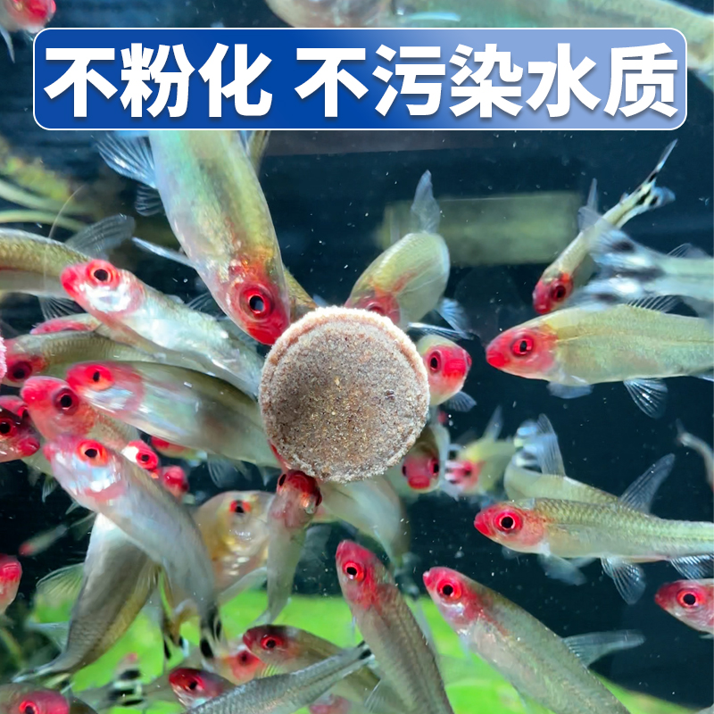 浪花贴片鱼粮小型观赏鱼丰年虾螺旋藻热带鱼食不浑水健康天然营养 - 图0