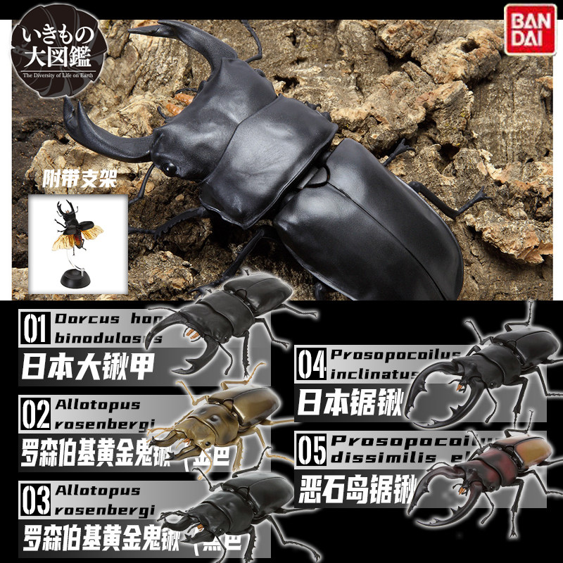 日本甲虫 新人首单立减十元 22年6月 淘宝海外