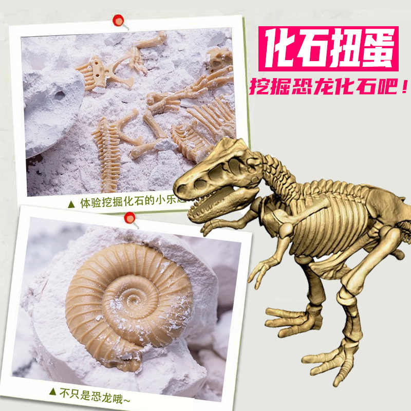 化石菊石 新人首单立减十元 22年8月 淘宝海外