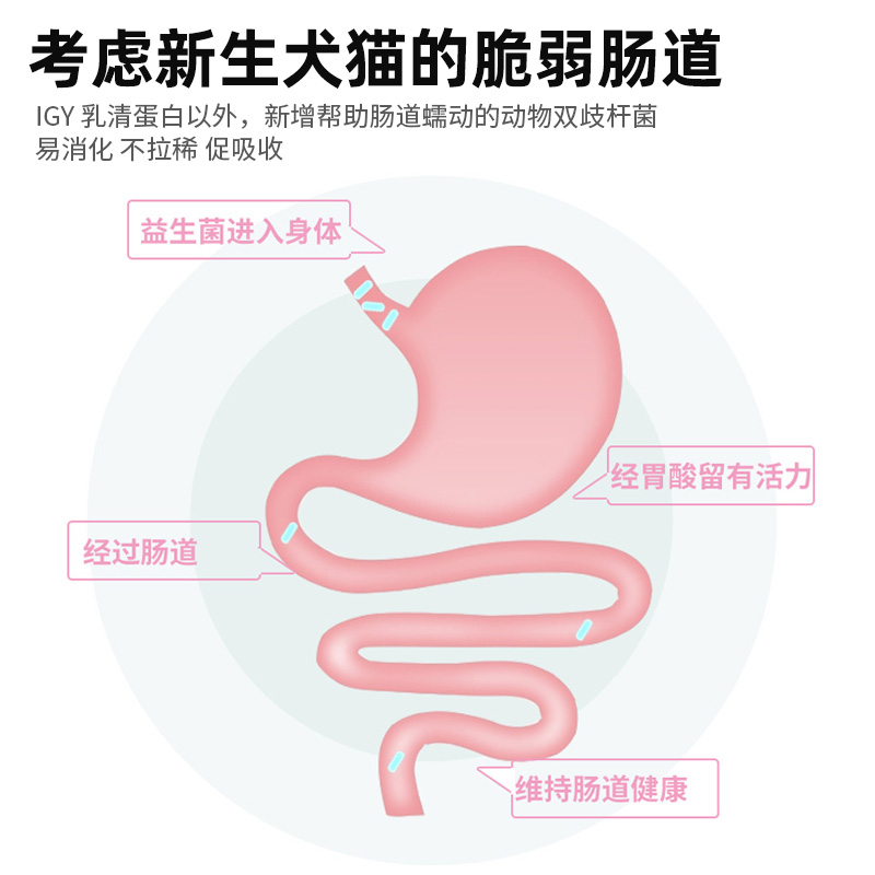 JPHC宠物有机钙代乳配方羊奶粉猫咪幼猫补钙新生怀孕营养品-图0