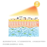 Toyotomi Японские Тойотоми Оригинальные электрические обогреватели 9 микрон