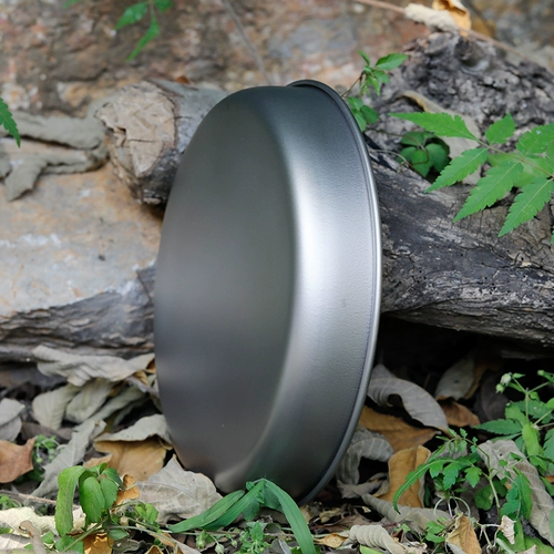 Кейт Кайсон чистый титановый на открытом воздухе блюдо блюдо для приготовления рыбы тарелка пластина домашняя рыба тарелка диска пароход Ti8702