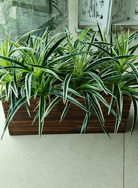 仿真绿植盆栽植物吊兰假花草摆件