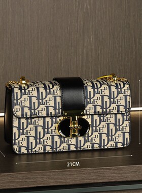 衣帽间摆件售楼部轻奢女士晚宴包