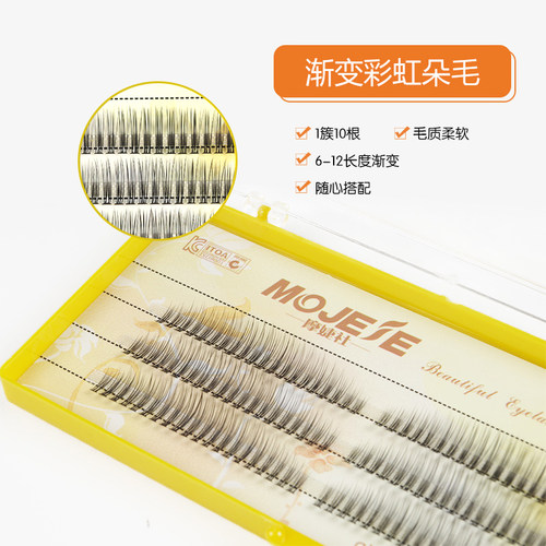 摩婕社新款彩虹嫁接睫毛一簇多根貂毛眼睫毛柔软自然长度混装睫毛 - 图1