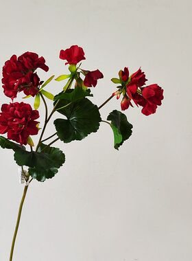 仿真花 手感天竺葵海棠花复古红色 多头小丽花 玉墨小丽花 新款